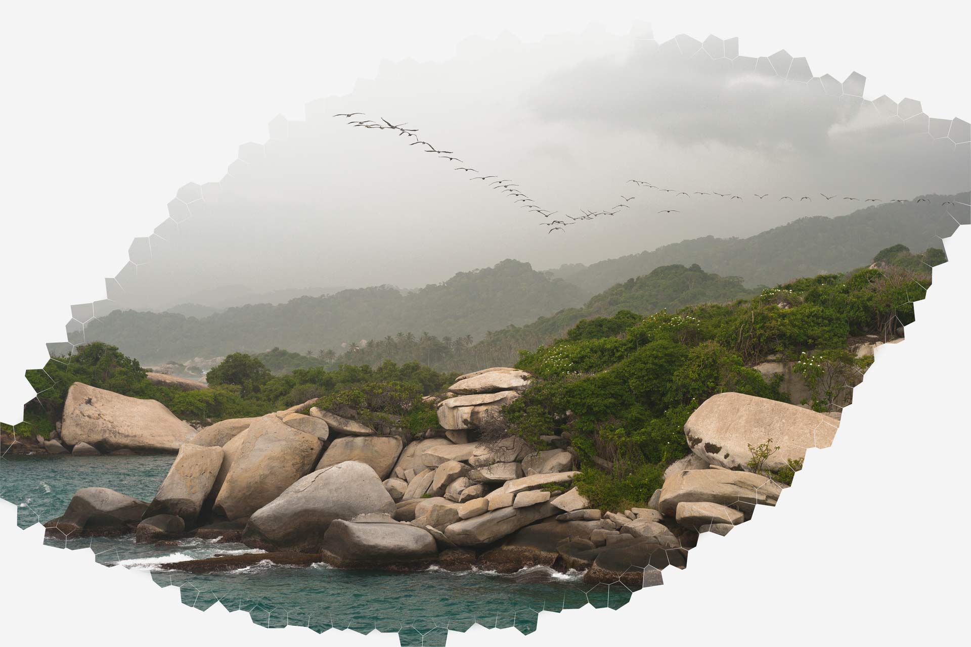 Shoreline of the Tayrona National Park